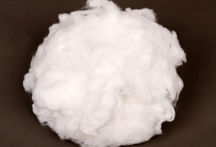 1642818441195313.jpg compound-fiber-02-b_pic.jpg